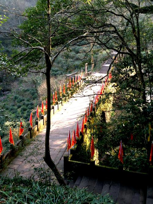 休宁到黄山风景区-图3