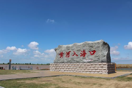 黄河口风景区-图3