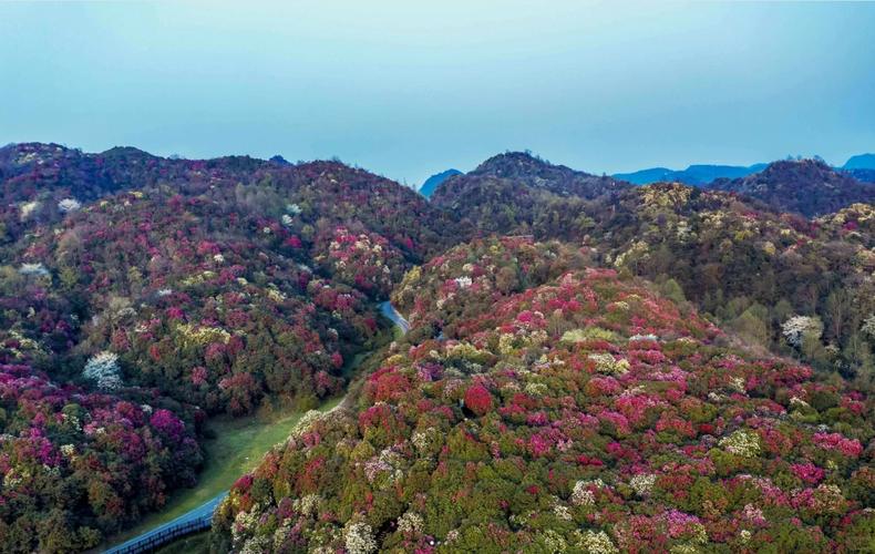 百里风景区-图1