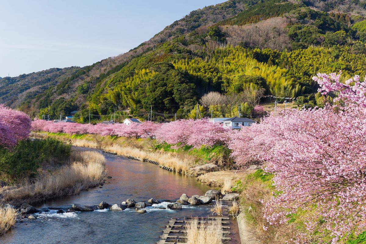 舟山桃花岛风景区-图1