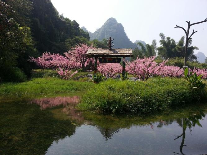 舟山桃花岛风景区-图3