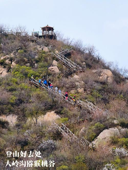 大岭沟风景区门票-图3