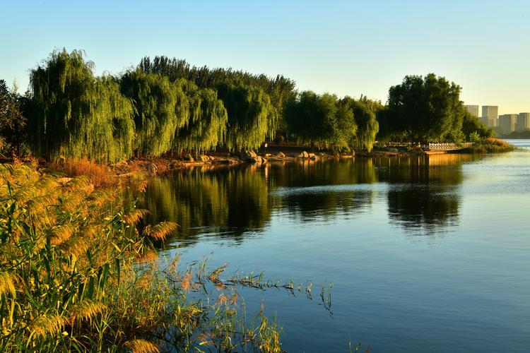 青州弥河水利风景区-图1