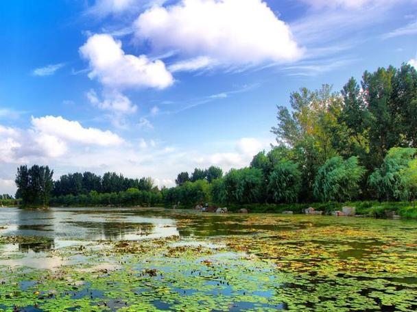 青州弥河水利风景区-图2