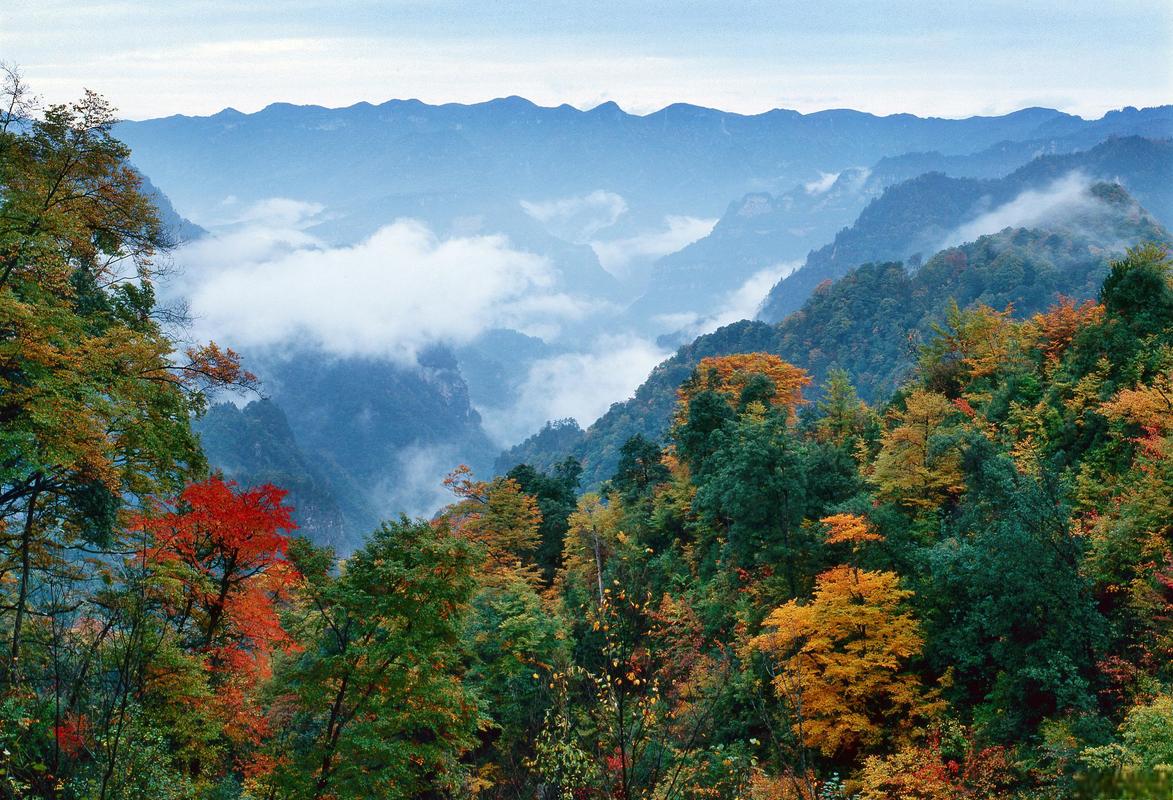 巴中光雾山风景区-图1