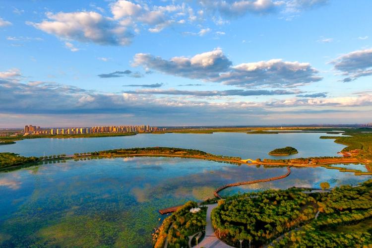 东丽湖风景区-图2