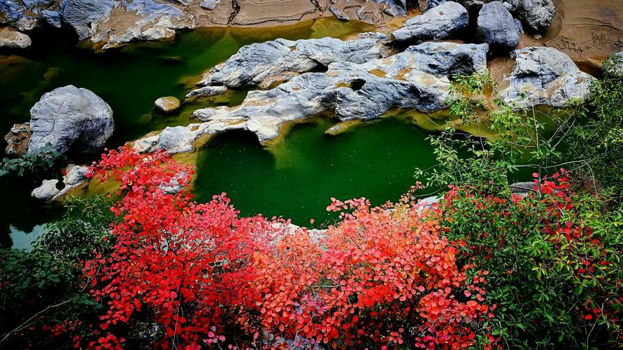 张家山自然风景区-图1