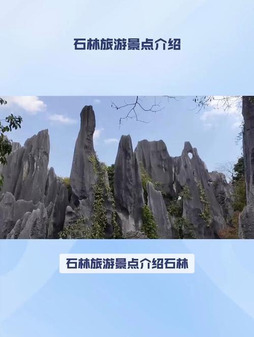 石林风景区自助游攻略-图1