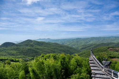 蔡伦竹海风景区-图2