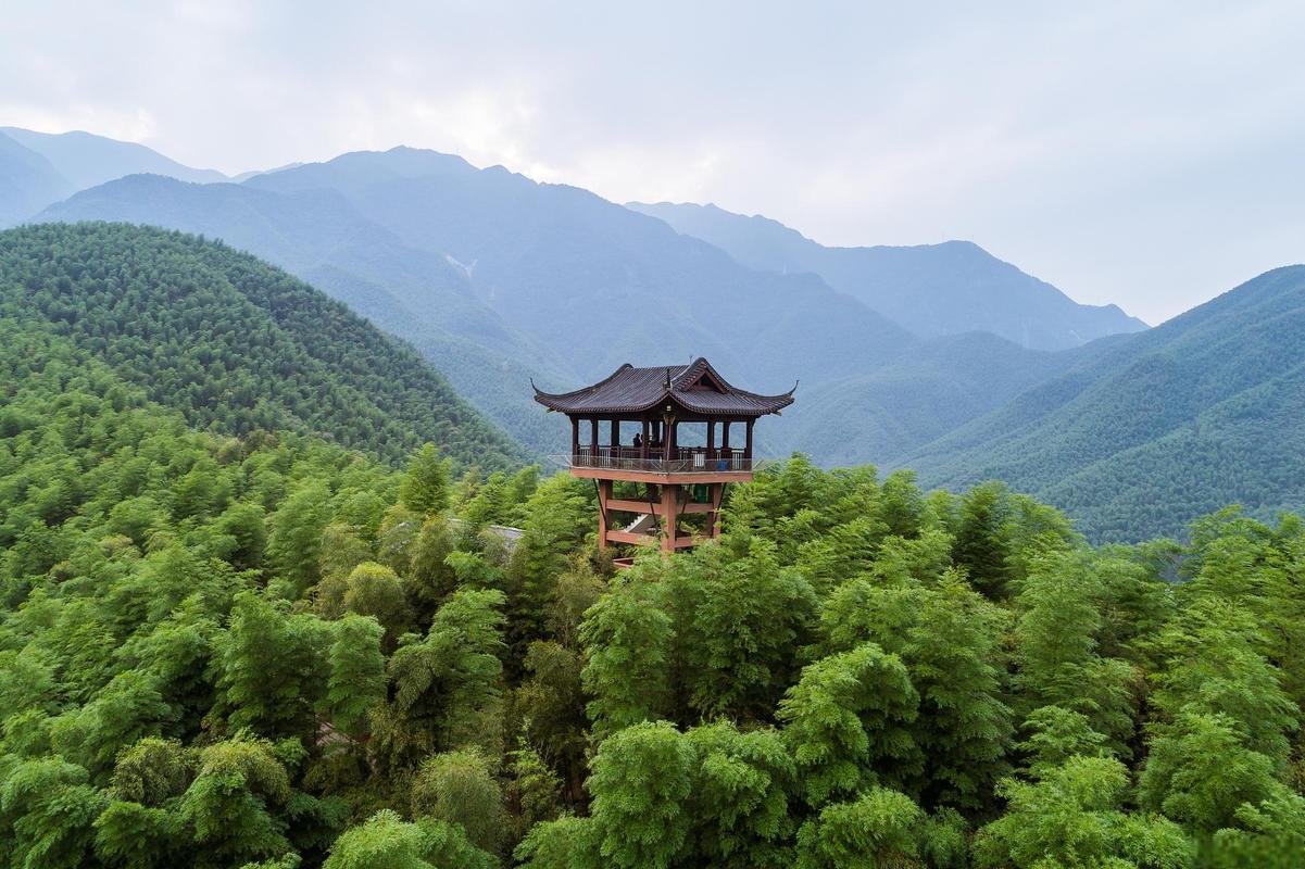 临安天目山风景区-图1