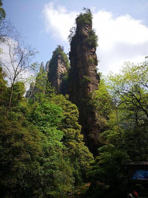 金鞭溪风景区-图3