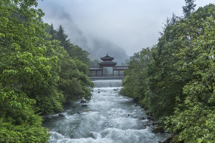 雅安喇叭河风景区-图3