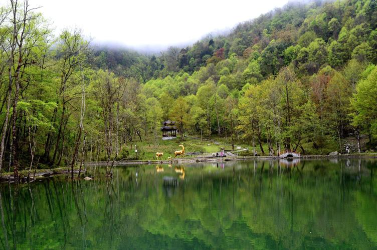 雅安喇叭河风景区-图2