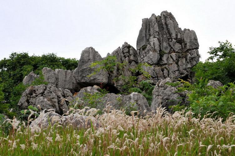 苹塘石山峰林风景区-图2