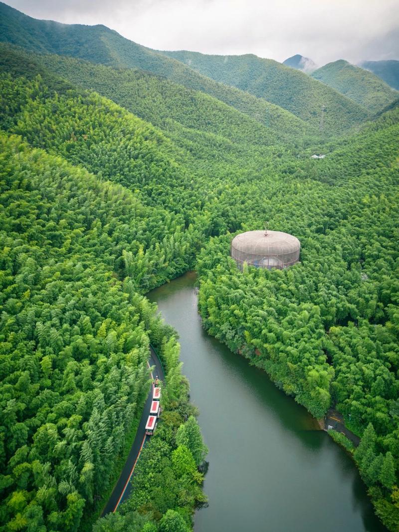 天目湖竹海风景区-图1