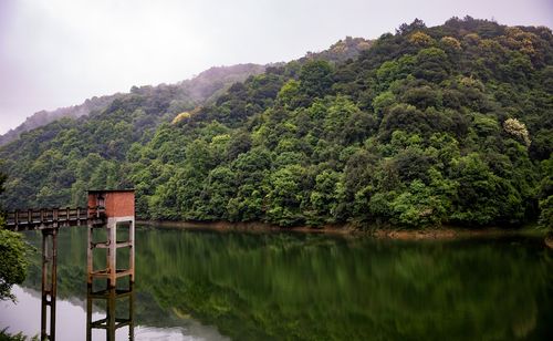 郭璞峰生态自然风景区-图2