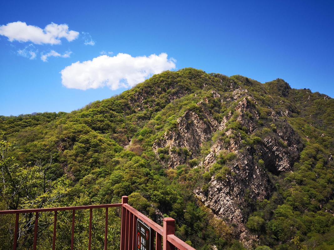 天津梨木台风景区-图3