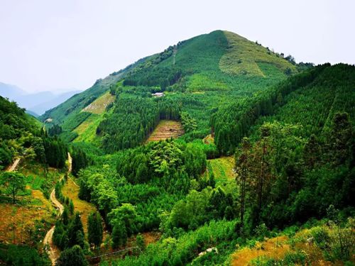 金堂玉皇山谷风景区-图3