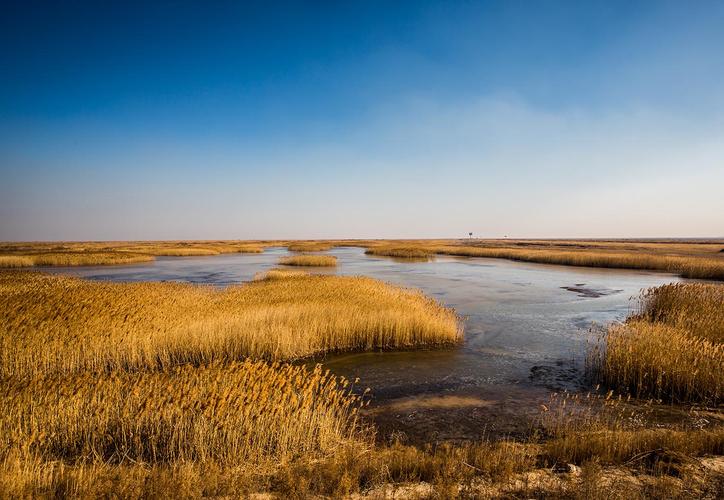 黄河入海口风景区-图1