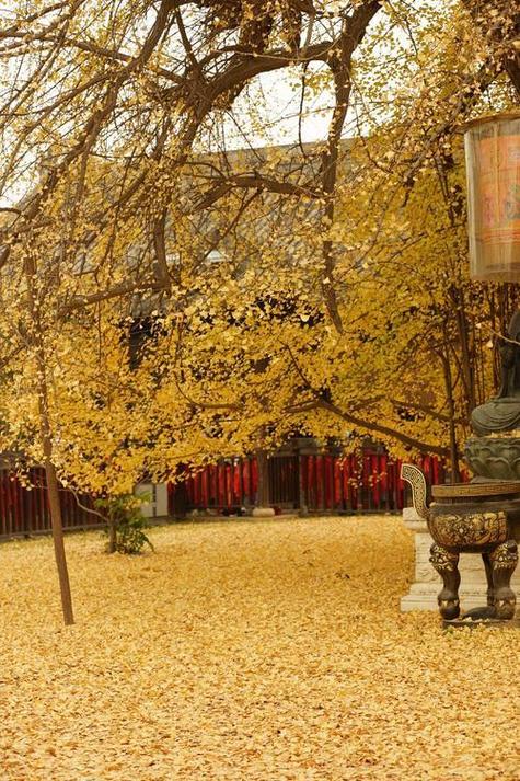 盖州转山湖风景区门票-图3