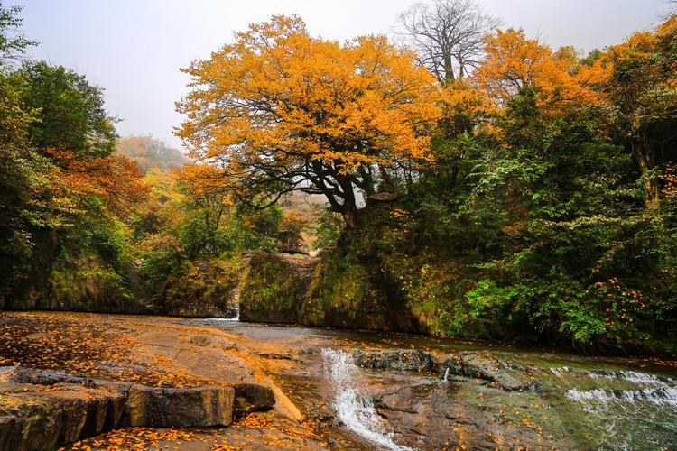 彝良小草坝风景区-图3