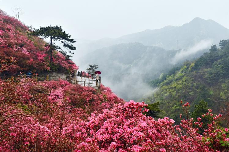 黄陂云雾山风景区-图1