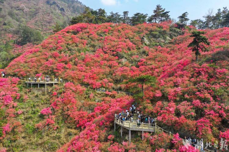 黄陂云雾山风景区-图2