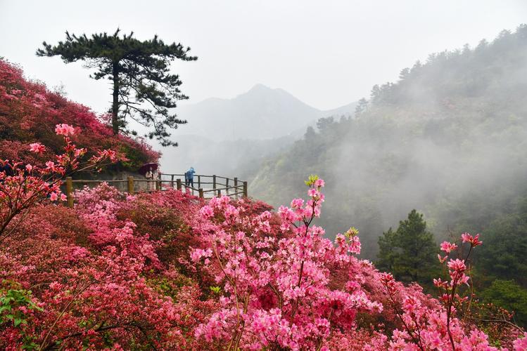 黄陂云雾山风景区-图3