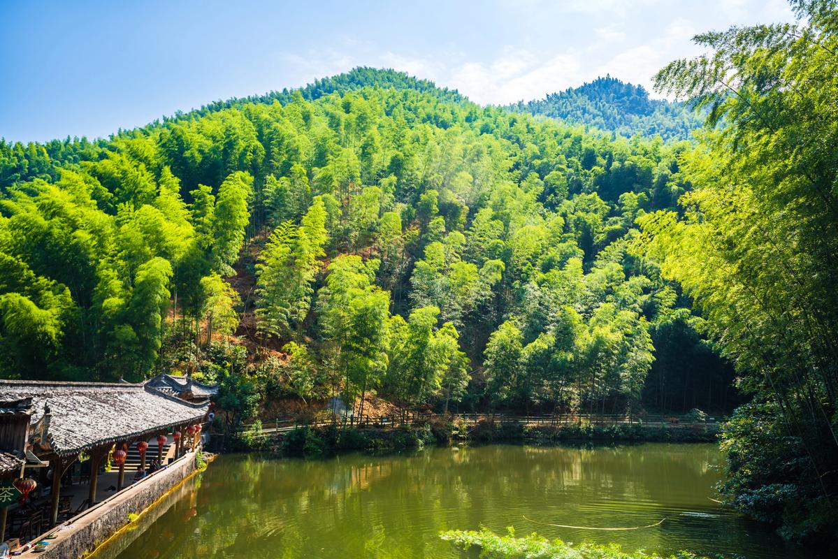 桃江竹海风景区-图2