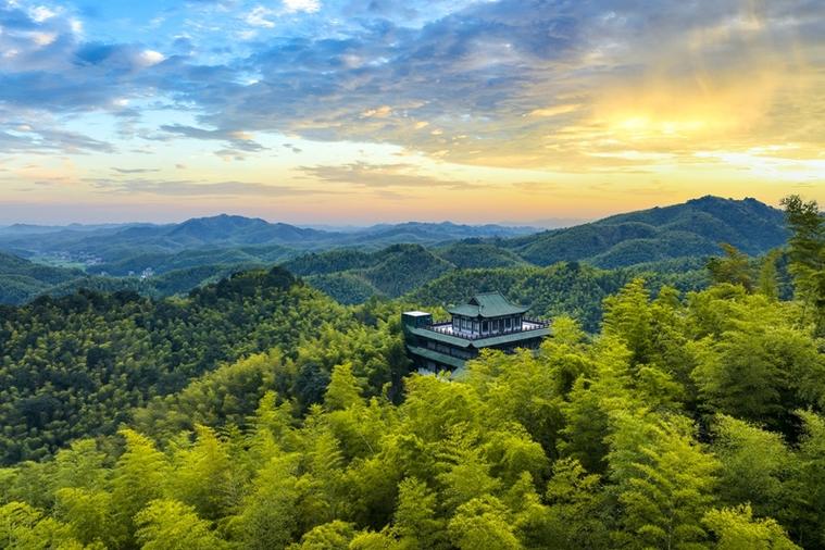 桃江竹海风景区-图1