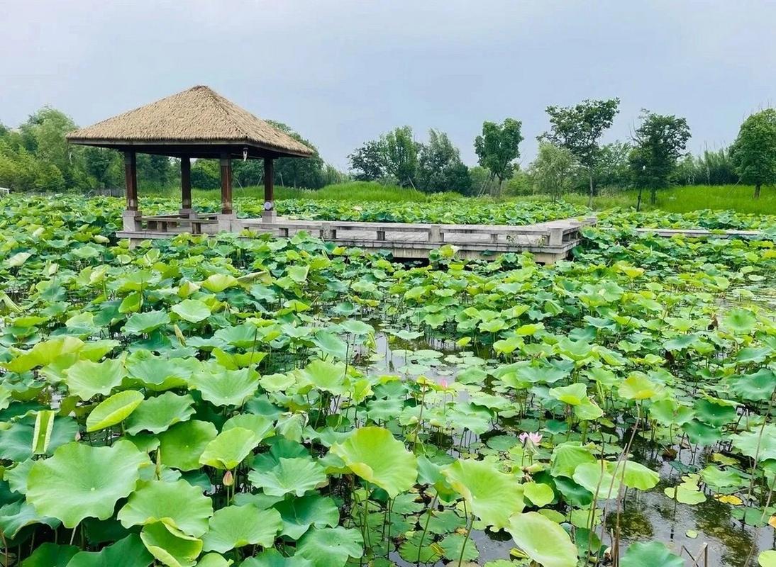 长兴县仙山湖风景区-图1