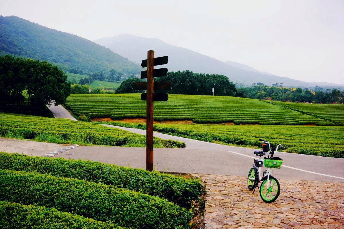 宜兴龙池山风景区-图1