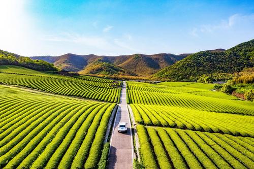 宜兴龙池山风景区-图3