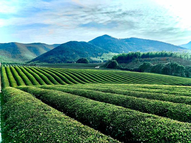 宜兴龙池山风景区-图2