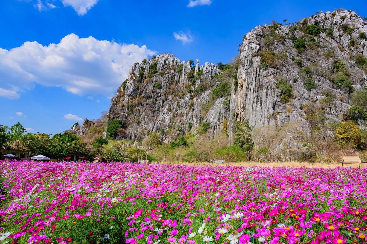 丫山花海石林风景区-图2