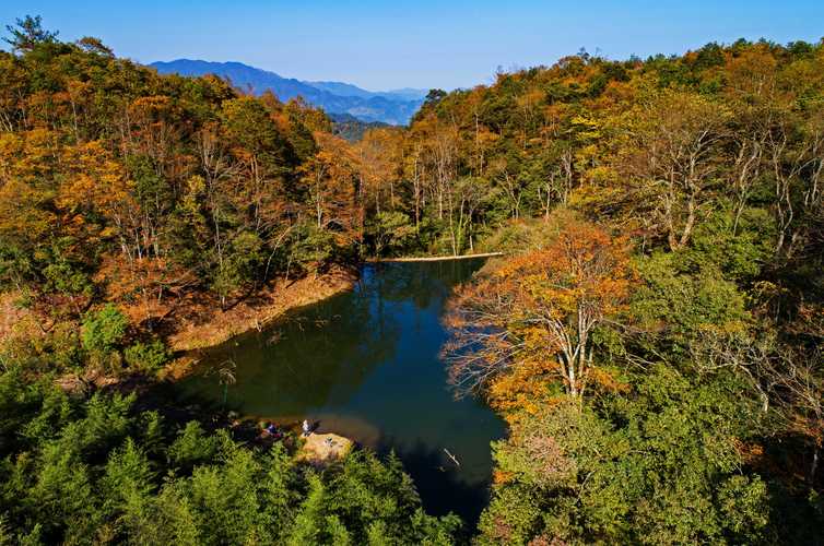 森林风景区-图1