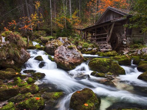 森林风景区-图3