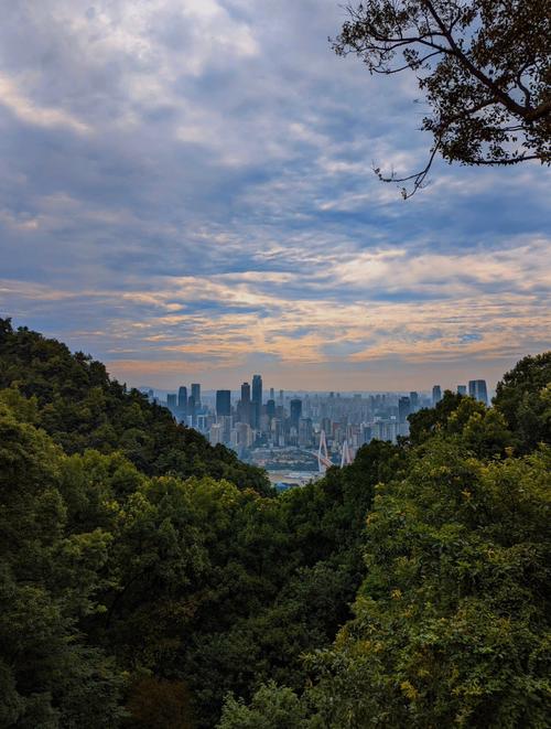 重庆南山风景区怎么去-图1