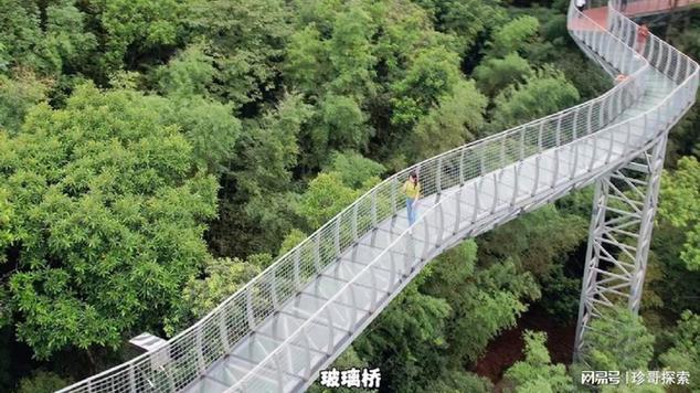 大余丫山风景区玻璃桥-图2