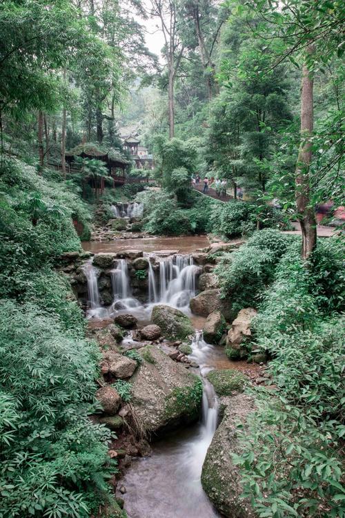 青城山风景区图片欣赏-图2