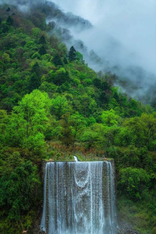 喇叭河风景区自驾游-图1