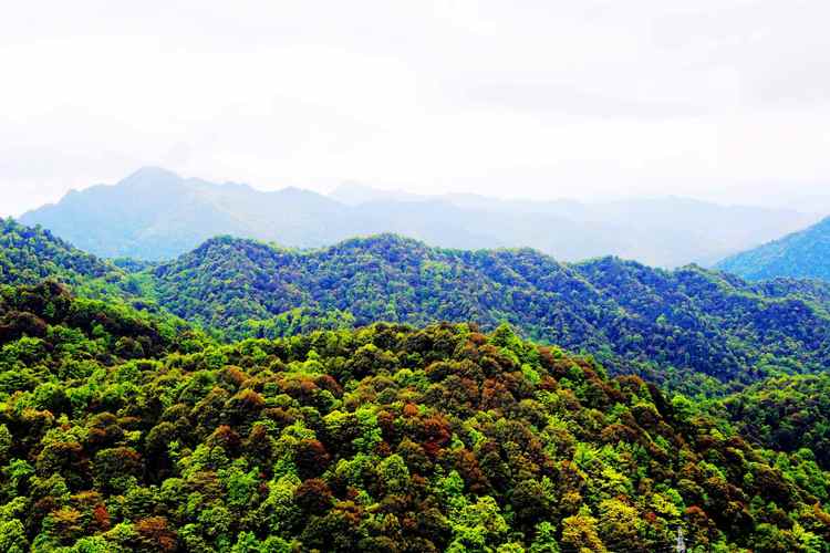 龙南九连山风景区-图1