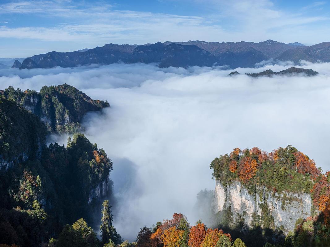 南江光雾山风景区天气-图2