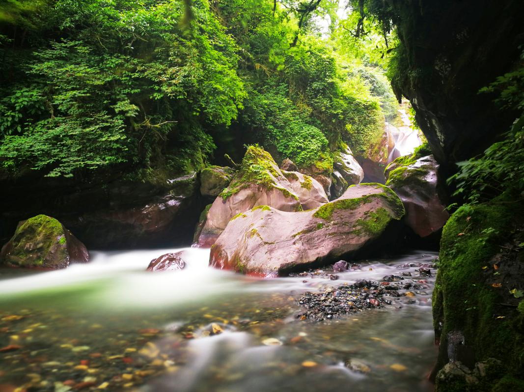 四川黑竹沟风景区-图1