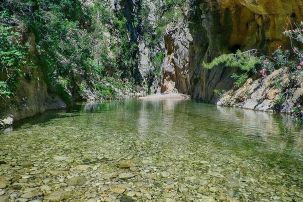 瑞安市桐溪风景区-图1