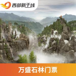 万盛石林风景区门票-图1