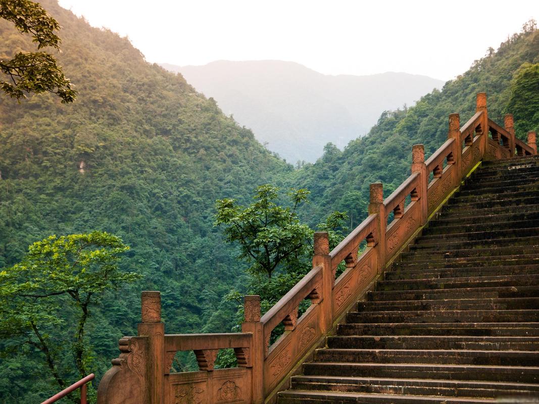 临安东天目山风景区-图2