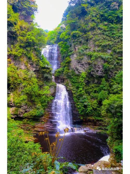 南宁大明山风景区官网-图3