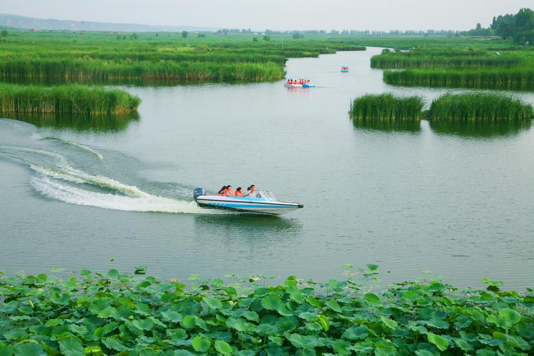 洽川湿地风景区自驾游-图1