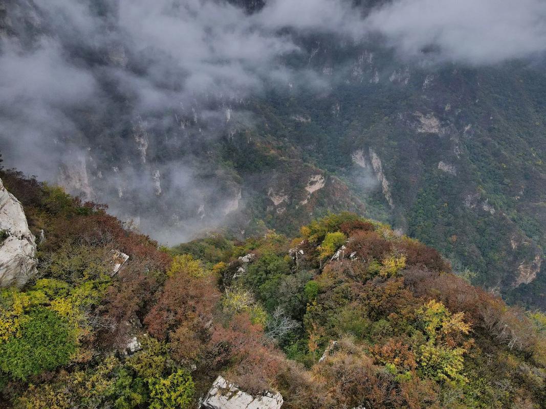 沟崖自然风景区开放吗-图1